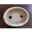 Photo2: SA5615 <br>satomi (2)