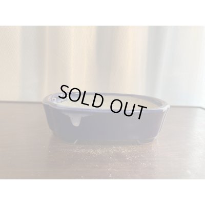 Photo1: SA5618  satomi