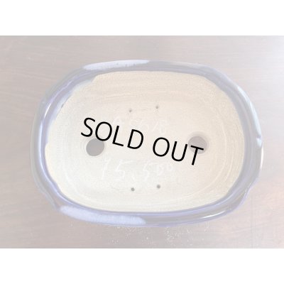 Photo2: SA5618  satomi