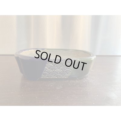 Photo1: SA5623  satomi