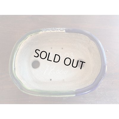 Photo2: SA5623  satomi