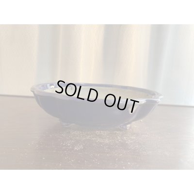 Photo1: SA5626  satomi