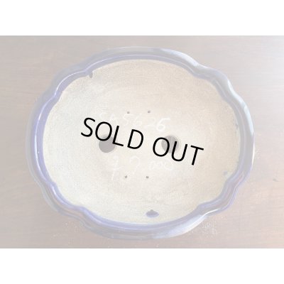 Photo2: SA5626  satomi