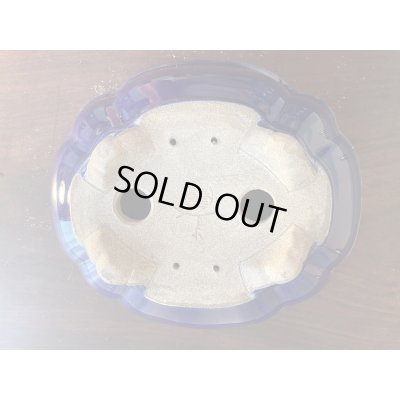 Photo3: SA5626  satomi