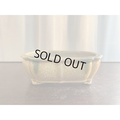 Photo1: SA5629  satomi