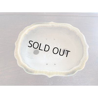 Photo2: SA5629  satomi