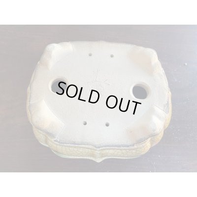 Photo3: SA5629  satomi