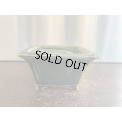 Photo1: SA5630  satomi