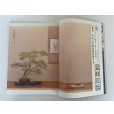 Photo2: No.Kinbon Air <br>Kinbon subscription by airmail Annual subscription (12 copies) Postage by airmail (2)