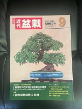 No.Kinbon Sea  Kinbon subscription by sea Annual subscription ( 12 copies ) Postage by sea