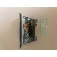 Photo2: No.TB0901<br> Tosui, Bonsai pot (2)