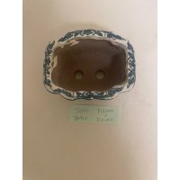 No.TB0902  Tosui, Bonsai pot