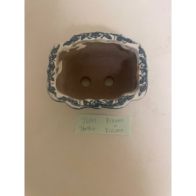 Photo1: No.TB0902  Tosui, Bonsai pot