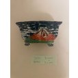 Photo2: No.TB0902<br> Tosui, Bonsai pot (2)