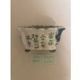Photo3: No.TB0902<br> Tosui, Bonsai pot (3)