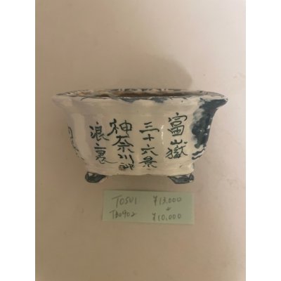 Photo3: No.TB0902  Tosui, Bonsai pot