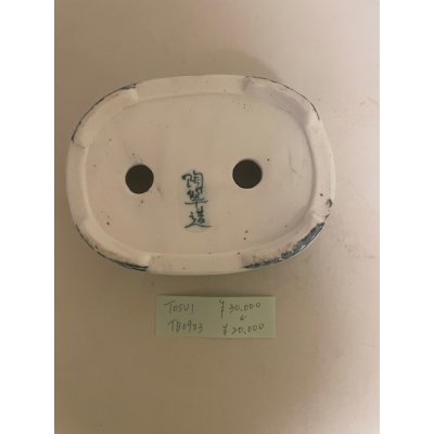Photo4: No.TB0903  Tosui, Bonsai pot