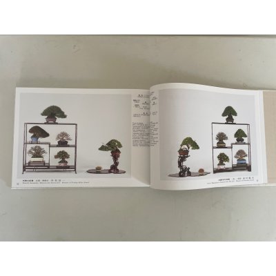 Photo3: No.GF album 50  N Gafu ten book No.50 (2025)