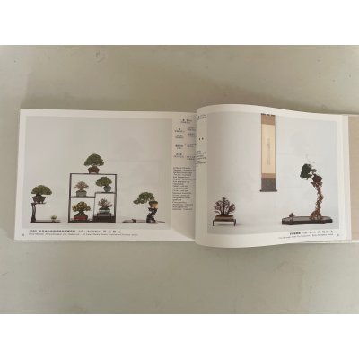 Photo4: No.GF album 50  N Gafu ten book No.50 (2025)