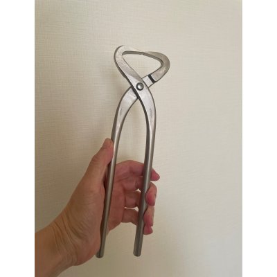 Photo4: No.8115  (S), 260ｍｍ, 550ｇ