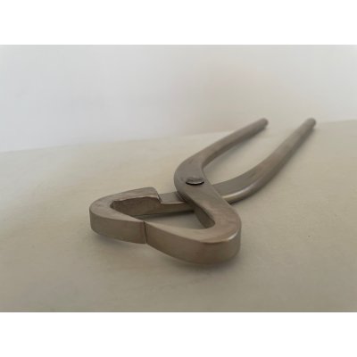 Photo5: No.8115  (S), 260ｍｍ, 550ｇ