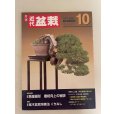 Photo1: No.Kinbon Sea <br>Kinbon subscription by sea Annual subscription ( 12 copies ) Postage by sea (1)