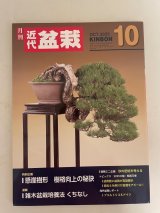 No.Kinbon Sea  Kinbon subscription by sea Annual subscription ( 12 copies ) Postage by sea