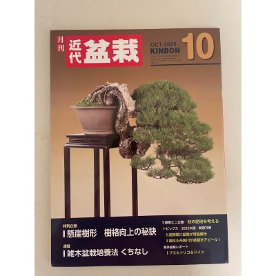 Photo1: No.Kinbon Sea  Kinbon subscription by sea Annual subscription ( 12 copies ) Postage by sea