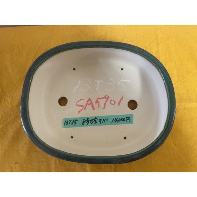 Photo2: No.SA5901 Satomi