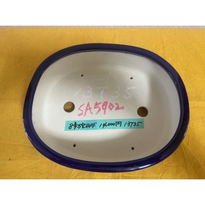 Photo2: No.SA5902 Satomi