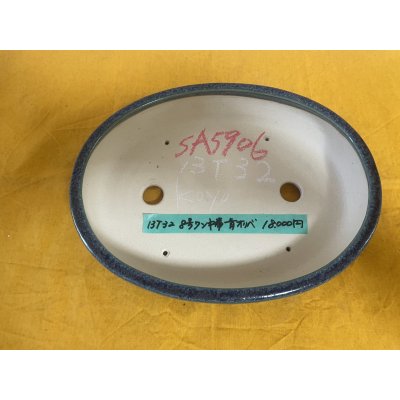 Photo2: No.SA5906 Satomi
