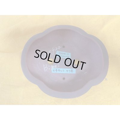 Photo2: No.SA5920 Bigei