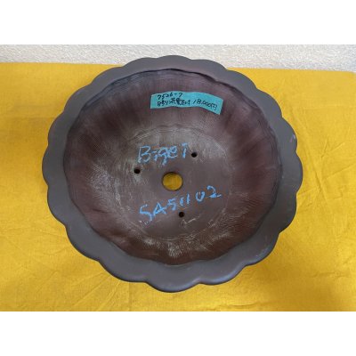 Photo1: No.SA51102 Bigei