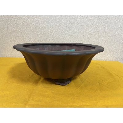 Photo2: No.SA51102 Bigei