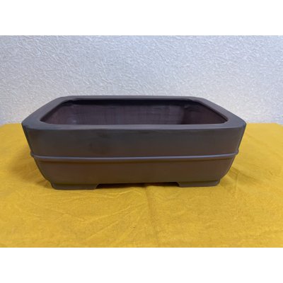 Photo2: No.SA51103 Bigei