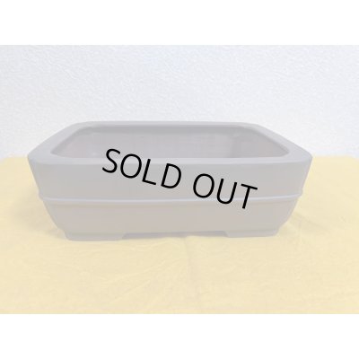 Photo2: No.SA51103 Bigei