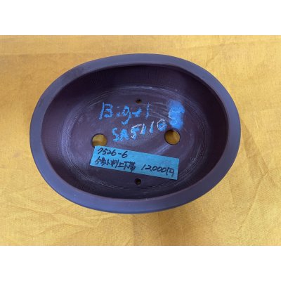 Photo1: No.SA51105 Bigei