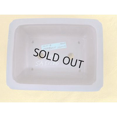 Photo1: No.SA51106 Bigei