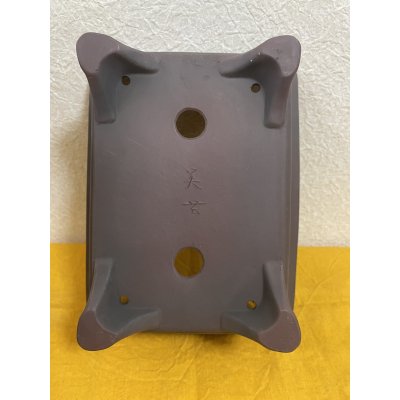 Photo3: No.SA51106 Bigei