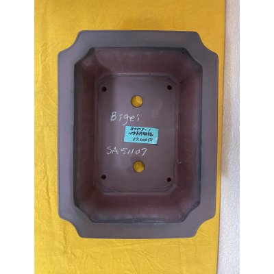 Photo1: No.SA51107 Bigei