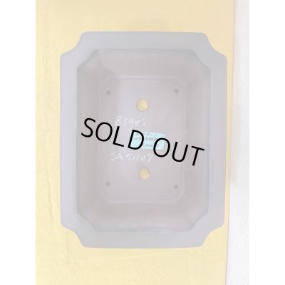 Photo1: No.SA51107 Bigei