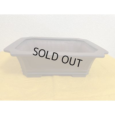 Photo2: No.SA51107 Bigei