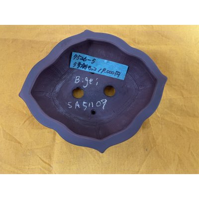 Photo1: No.SA51109 Bigei