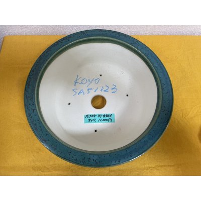 Photo1: No.SA51123 Koyo