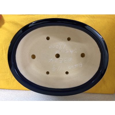 Photo1: No.SA51138 Reiho