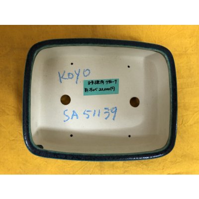 Photo1: No.SA51139 Koyo