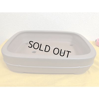 Photo2: No.SA51142/1 Reiho