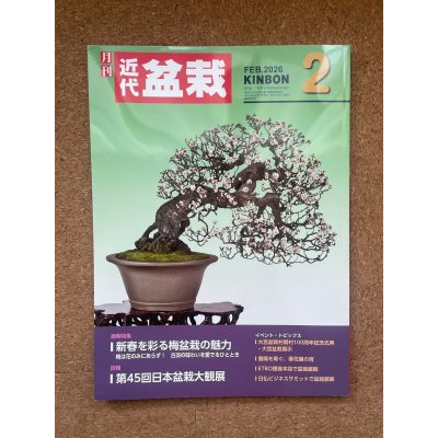 Photo1: No.Kinbon Air  Kinbon subscription by airmail Annual subscription (12 copies) Postage by airmail