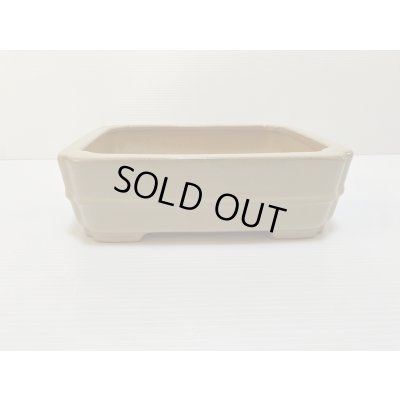 Photo1: No.DA4867 Reiho