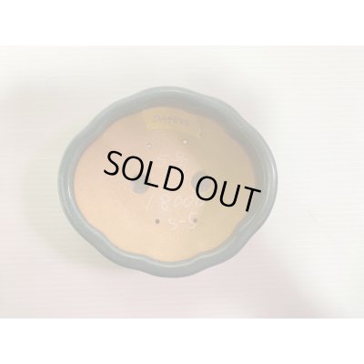 Photo4: No.DA4888 Reiho